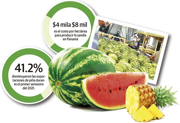 La producción de melón en el país tiene un costo de 6 mil dólares por hectáreas, lo que hace poco rentable las exportaciones en la actualidad.