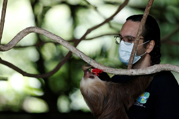 Néstor Correa es el director ejecutivo de la Asociación Panamericana para la Conservación (APPC). Foto: EFE