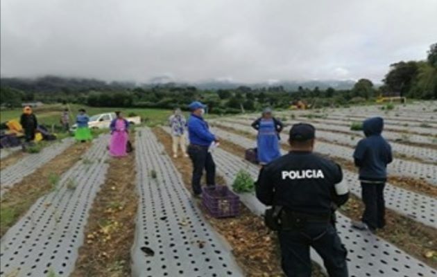 Ambos menores cuentan con estudios, no obstante, uno de ellos no ha sido debidamente registrado por sus padres en el Registro Civil del Tribunal Electoral. Foto: José Vásquez