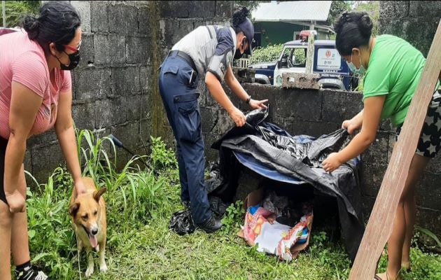 Las autoridades también rescataron a una perrita con sus seis cachorros. Foto: José Vásquez