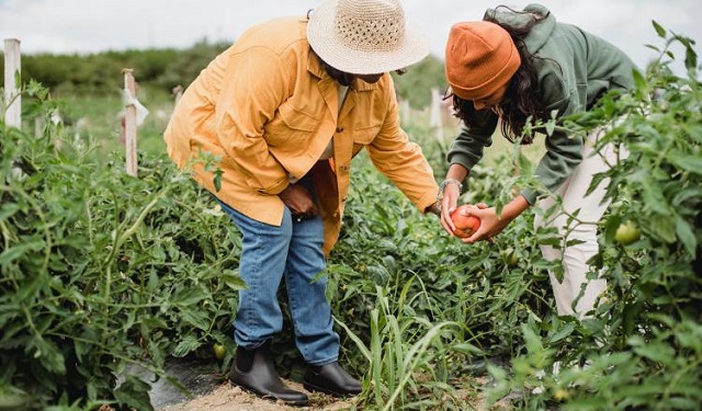 'Las juventudes están en la primera línea para construir los sistemas alimentarios del futuro', afirma Adoniram Sanches Peraci. Foto: Ilustrativa / Pexels