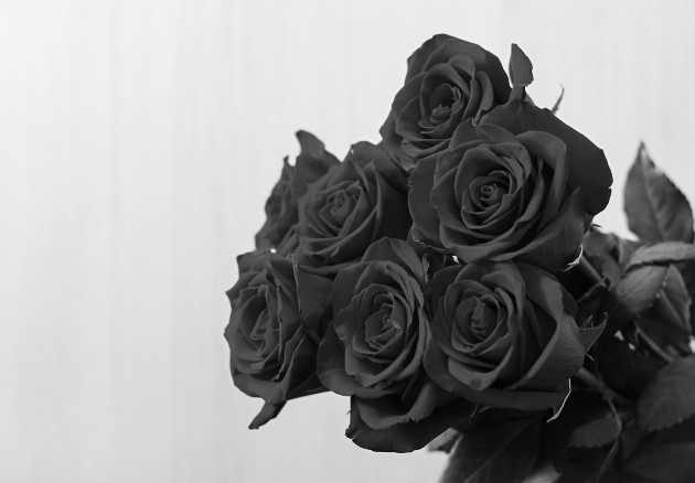 Escogí uno nada común, doce rosas reposando un papel negro mate con unos chocolates y un lazo, un ramo de rosas perfectamente armado. Foto: Freepik.