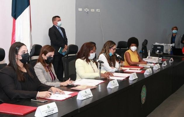 La Comisión de la Mujer, la Niñez, la Juventud y la Familia de la Asamblea Nacional presentó un informe. Foto: Asamblea Nacional