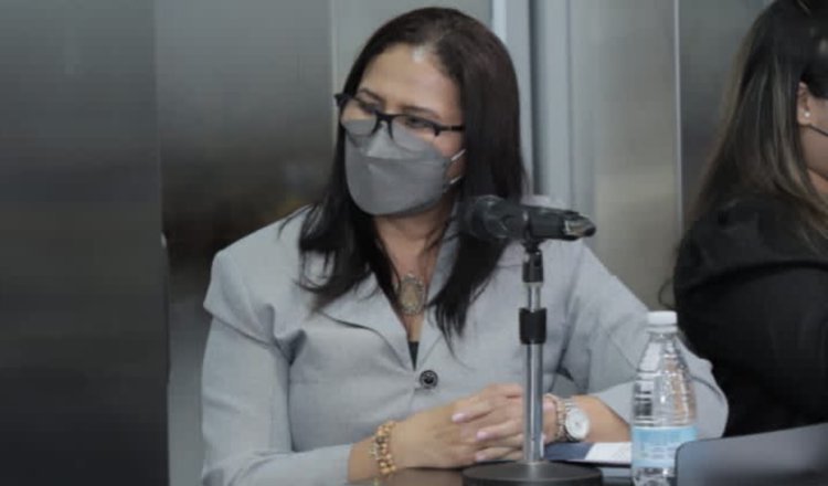 El pasado jueves, la directora general de la Senadis explicó su plan de trabajo a diputados de la Comisión de Credenciales.  Foto: Cortesía