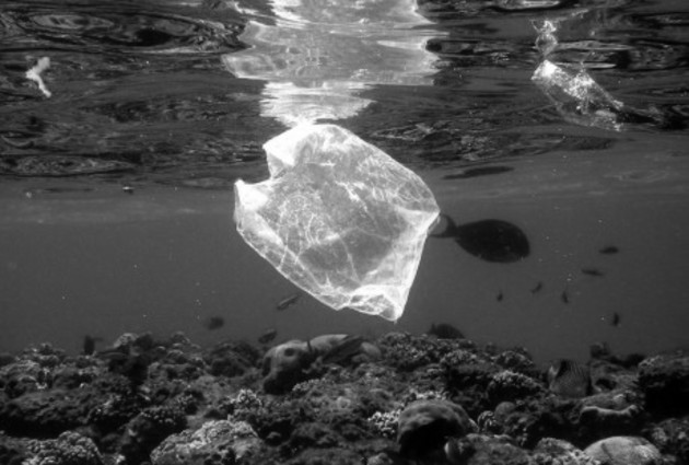 Si no se toman medidas para reducir el flujo de plásticos hacia el mar, los océanos contendrán más plástico que peces al llegar el año 2050. Foto: EFE.