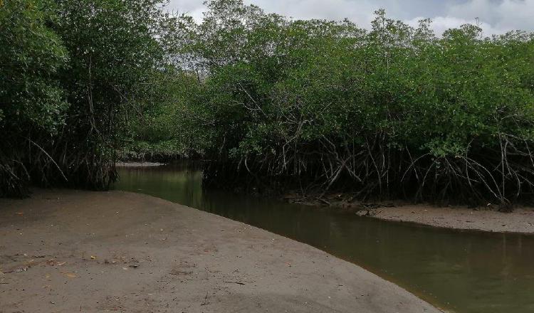 La implementación del programa se desarrollará en el BATIPA Field Institute. Cortesía