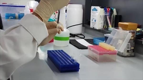 Vista de un laboratorio de investigación de Uruguay. Foto: EFE