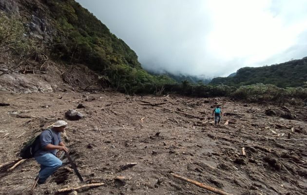 Los senderos de Los Quetzales y Panamá Verde, están ubicados en Parques Nacionales en la provincia de Chiriquí y el mayor número de visitantes son extranjeros. Foto: José Vásquez