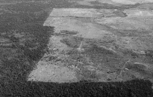 Es un imperativo que, tanto los gobiernos como los individuos, tomen consciencia de la hecatombe que producirá el cambio climático. Vista de la deforestación del Amazonas, otro de los graves problemas de la acción humana. Foto: EFE.