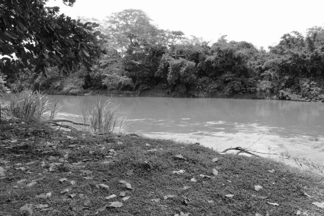 El Río Chiriquí Viejo, nombre que también lleva el caserío y la finca de los abuelos maternos de Stanley Heckadon. En los documentos coloniales, se hablaba de un cacique llamado Chiriquí Viejo, relata el autor. Foto: Breicy Cedeño, estudiante de Periodismo.