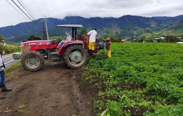 Los trabajadores de la tierra aseguran que no resisten un alza más en los insumos, aunque son conscientes que el tema de la pandemia de la covid-19 ha generado un aumento en los precios. Foto: José Vásquez 