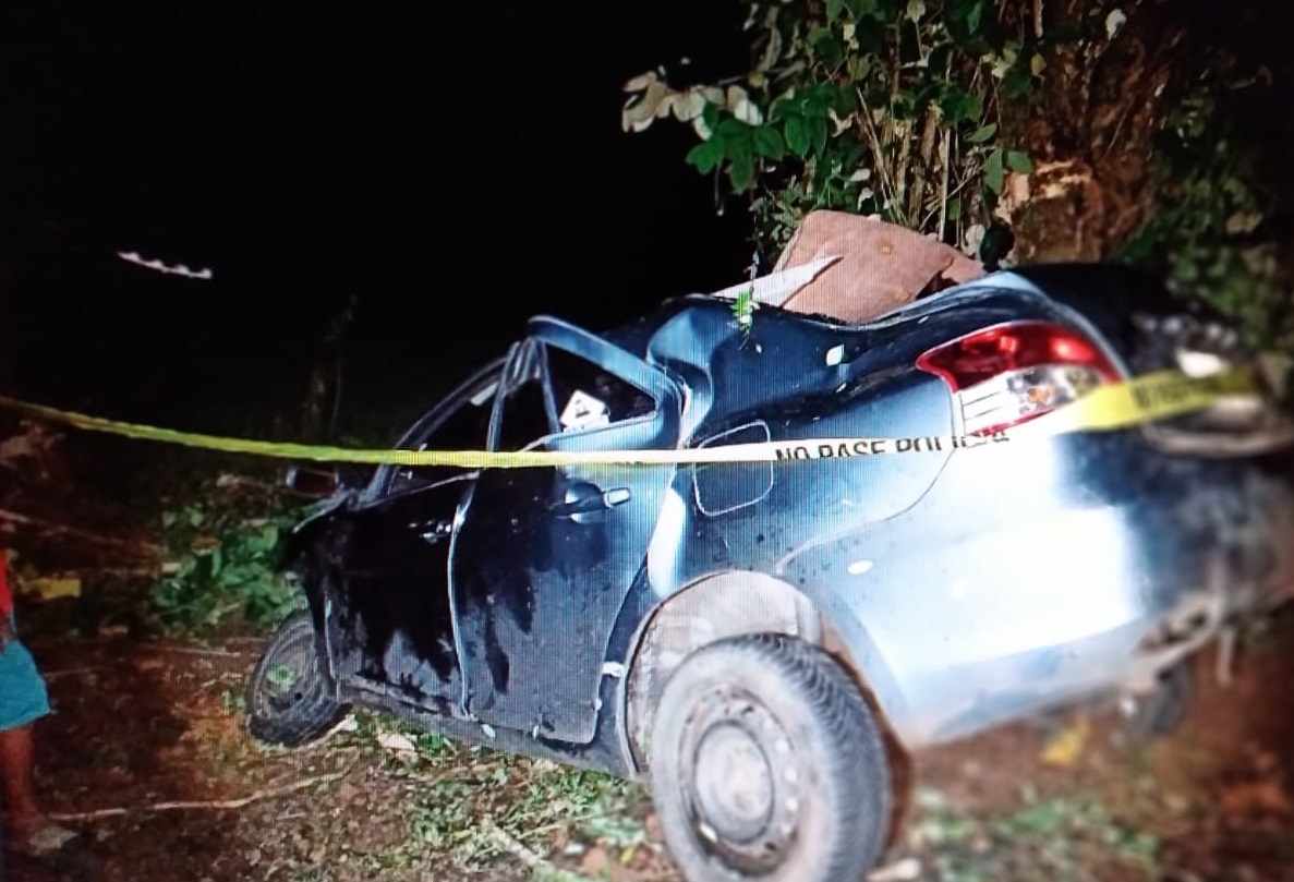 El vehículo se salió de la vía y colisionó contra un árbol. Foto: Eric A. Montenegro