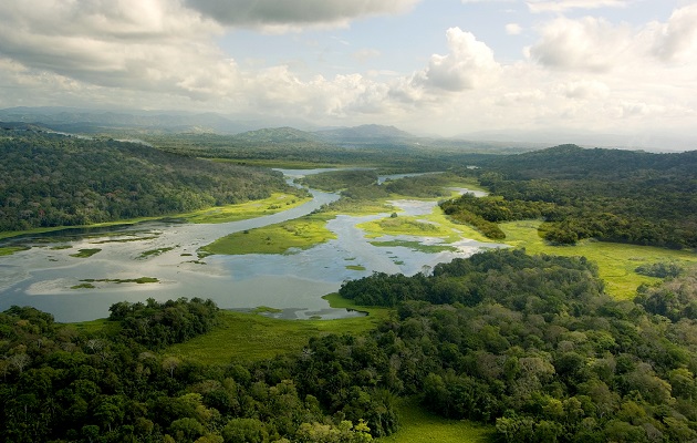 El experimento tiene como objetivo central definir las mejores formas de manejar las tierras en el trópico para proteger los recursos hídricos. Foto: STRI