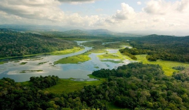 El objetivo central definir las mejores formas de manejar las tierras en el trópico para proteger los recursos hídricos. Foto: STRI
