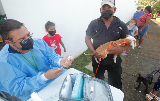 Panamá lanza la campaña #yo amo mi mascota. Foto: EFE