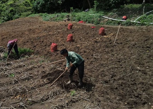 Alrededor de 70 corregimientos de la comarca Ngäbe Bugle están incluidos en el Plan Colmena. Foto: Cortesía Mides