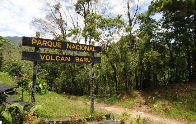 El Parque Volcán Barú es una área protegida, ubicada en la provincia de Chiriquí. Foto: Cortesía