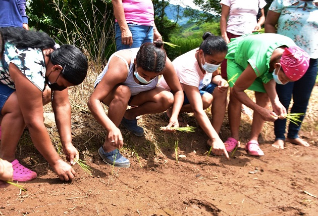 Un grupo de 40 mujeres rurales asiste a la Escuela Campo 