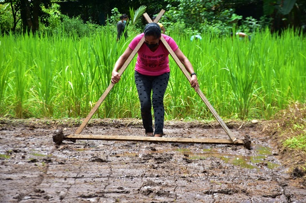 Las clases buscan promover una agricultura sostenible y lograr cultivos amigables con el medio ambiente. Foto: Cortesía Mides