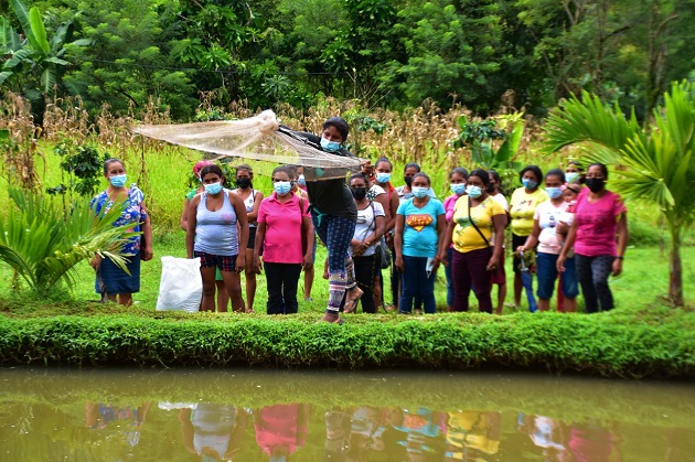 La escuela cuenta con cuatro tinas de tilapias. Foto: Cortesía Mides 