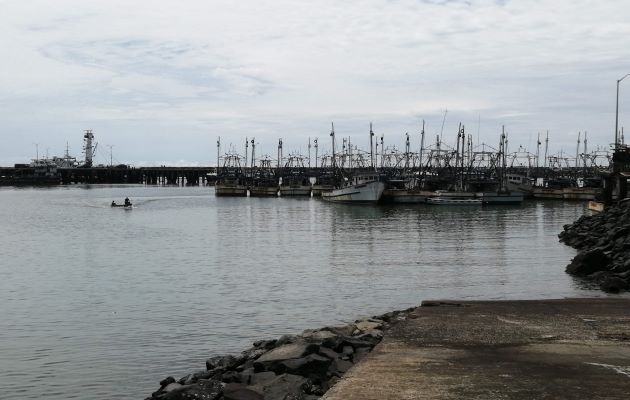 Las 102 embarcaciones de arrastre que zaparon del Puerto de Vacamonte implican la vuelta al trabajo de 510 personas. Foto: Eric Montenegro