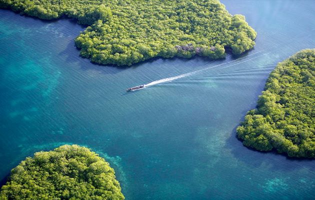 Panamá limita al Norte con el Mar Caribe y al Sur con el Océano Pacífico. Foto: Grupo Epasa