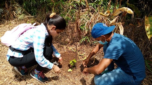 El programa proporcionará  servicios de protección contra incendios y asistencia médica. 