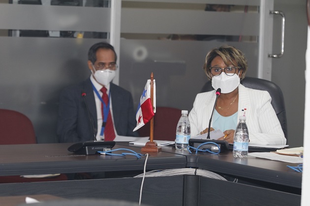 Las partidas fueron sustentadas por la viceministra del Minsa, Ivette Berrío. Foto: Cortesia Minsa