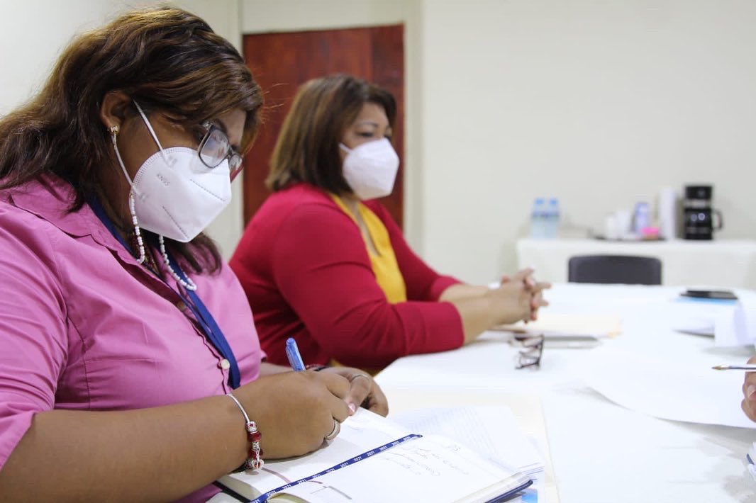 Grupos feministas mantienen luchas en diferentes frentes para la lograr la paridad de género. Foto: Cortesía/Mitradel