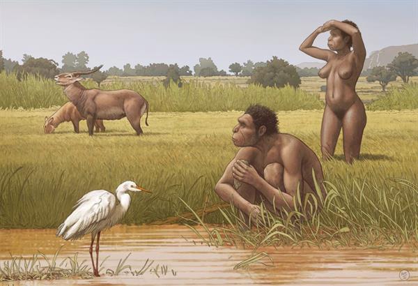 Ilustración de Homo bodoensis, una nueva especie de ancestro humano, vivió en África durante el Pleistoceno Medio. Foto: EFE