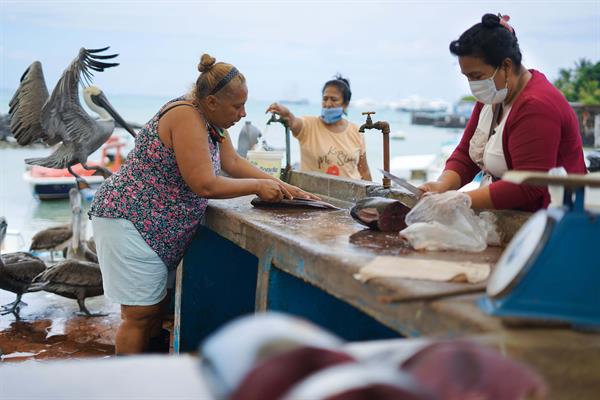 Pescadores y comerciantes del mercado Puerto Ayora, Galápagos (Ecuador). EFE