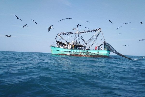 La pesca ilegal afecta a la industria pesquera mundial y genera daños  severos al ecosistema marino. Foto: Archivo