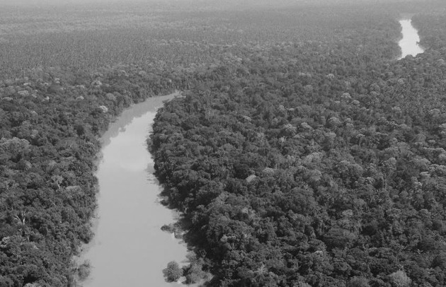 Río Algodón, que fluye a través de un bosque de la cuenca del Amazonas en el remoto rincón noreste de Perú. Foto: EFE.