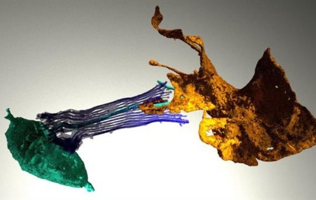 La célula neuroide de la esponja (naranja) extiende unos brazos que envuelven el aparato de alimentación de una célula digestiva de la esponja (verde). EFE