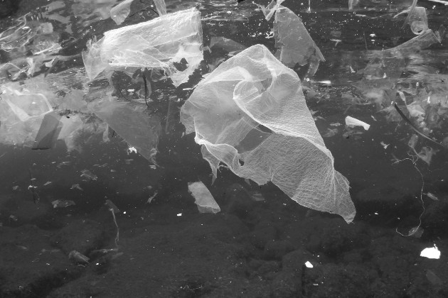 Más de 150 millones de toneladas de plásticos enferman hoy los océanos, cifra que aumenta hasta 12 millones de toneladas cada año. Foto: Cortesía MarViva.