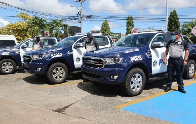 Este año se pudieron comprar los vehículos gracias a la apertura económica. Foto: Cortesía