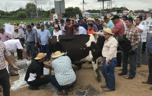 Lecheros han protestado en varias ocasiones por la importación excesiva de leche y sus derivados . 