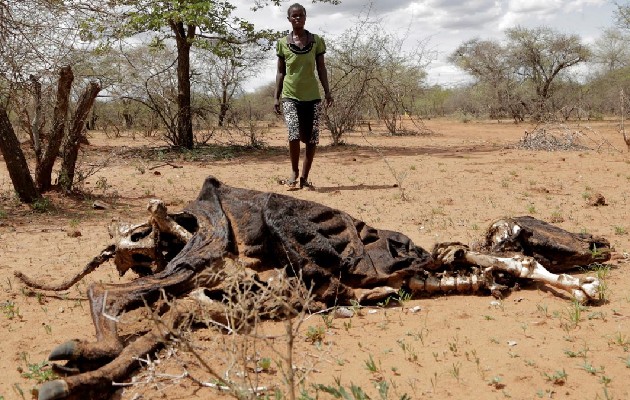 Crisis climática provocará olas migratorias. Foto: EFE