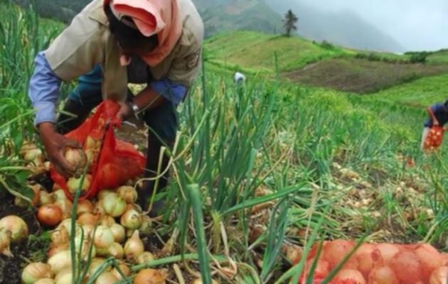 El dirigente precisó que los acuerdos suscritos en el comité la estadística de producción considerada la merma, comercialización y consumo. Foto: José Vásquez