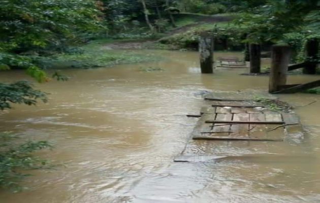 El puente de madera se ve afectado por la crecida del río. Foto: Diomedes Sánchez