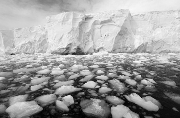 En los últimos 30 años, el hielo ártico ha perdido el 40% de su grosor. Foto: EFE.
