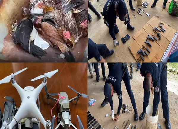 Gallos, armas de fuego y celulares, entre otros artículos, fueron decomisados hoy en La Joyita. 