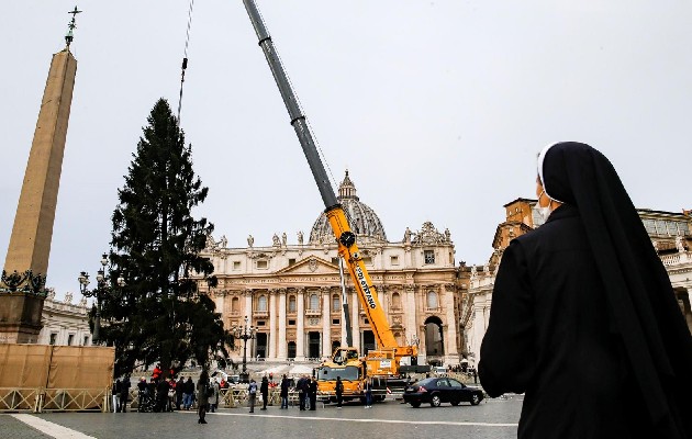 El Vaticano prepara encendido del árbol de Navidad el próximo 10 de diciembre. Foto: EFE