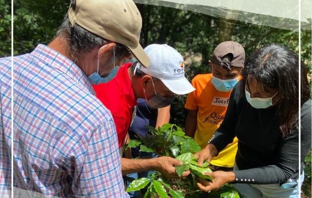 Se premiarán trabajos que promuevan la adaptación al cambio climático en apoyo a productores de rubros claves como el café, arroz y ganado. Foto: Cortesía