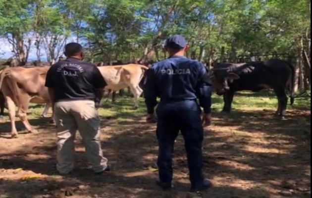 También hubo detenciones por casos de cuatrerismo. Foto: Mayra Madrid