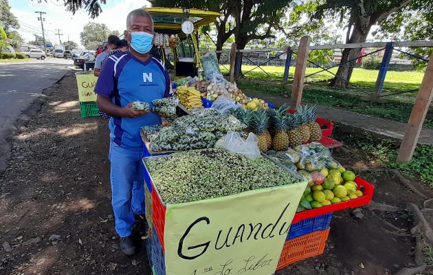 Una vez baje toda la producción de guandú de la comarca hacia los mercados el precio bajará aún más, lo cual hace difícil su producción por los altos costos de producción. Foto: José Vásquez