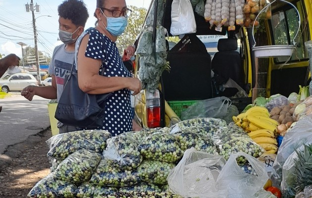 El guandú nacional, uno de los productos preferidos por los panameños y que más se consume con la celebración de las fiestas de fin de año, había disminuido su producción en los últimos años. Foto: José Vásquez