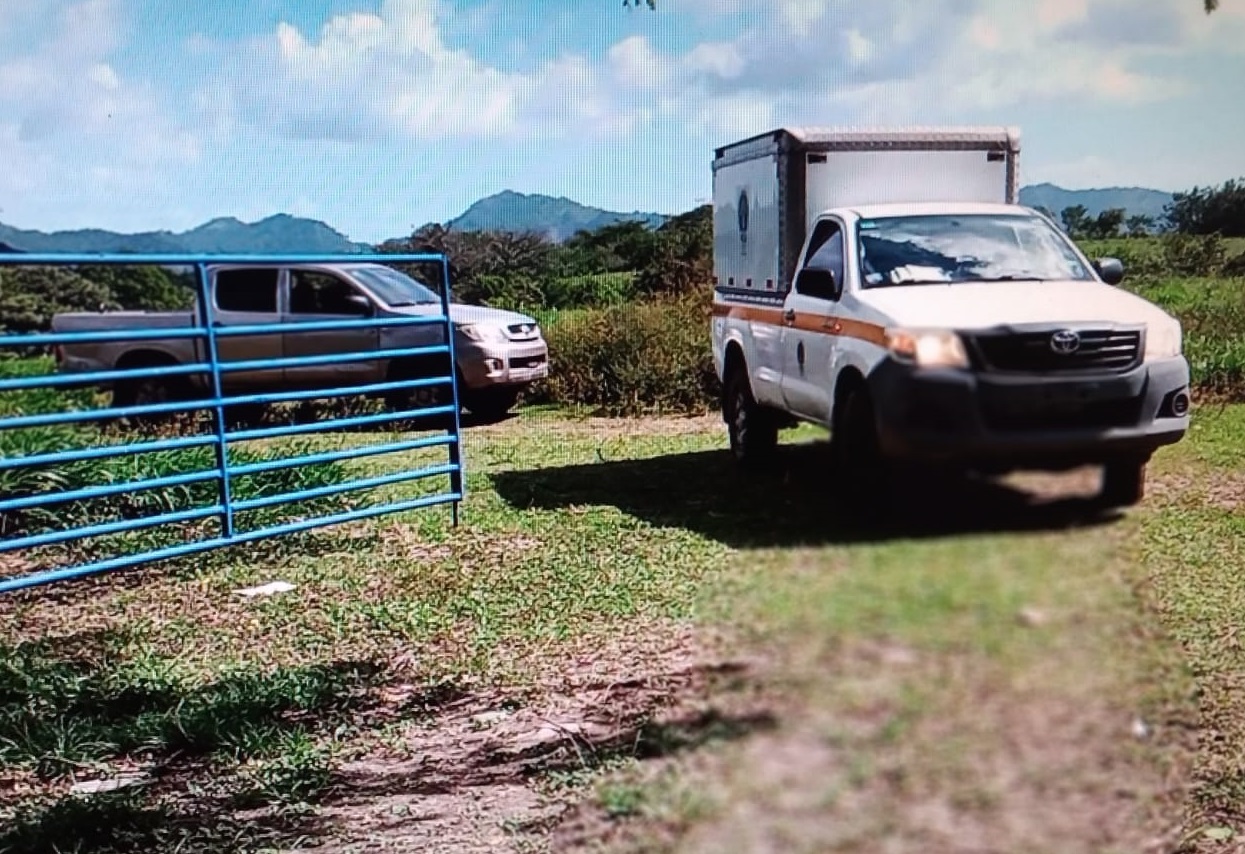 Los restos óseos fueron trasladados a la morgue judicial en La Chorrera. Foto: Eric A. Montenegro 