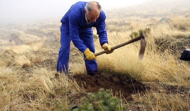 Conservación y equilibrio en los entornos verdes. Foto: Ilustrativa / Pixabay