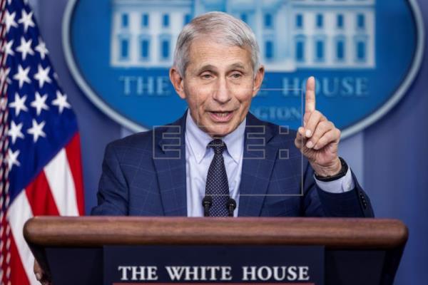 Anthony Fauci es el principal epidemiólogo del Gobierno estadounidense. Foto: EFE